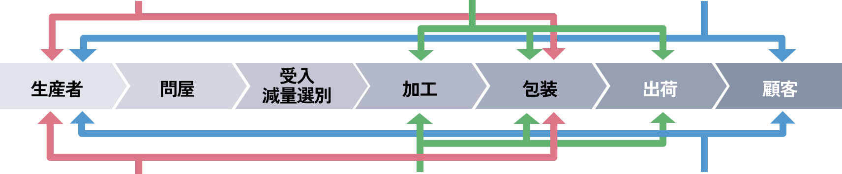 タマネギの収穫風景