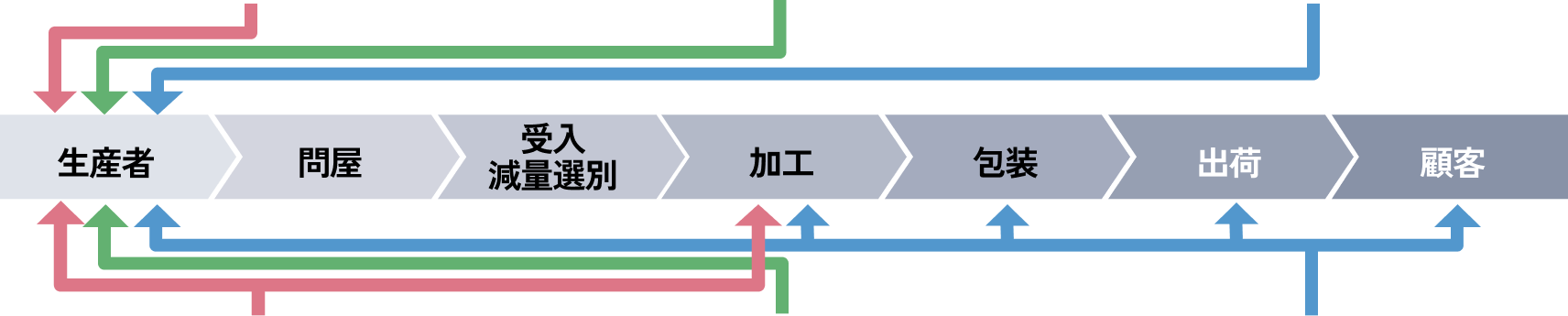 タマネギの収穫風景