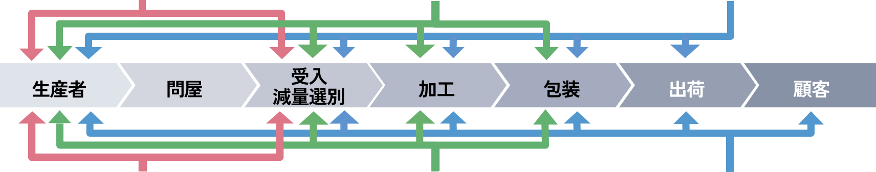 タマネギの収穫風景