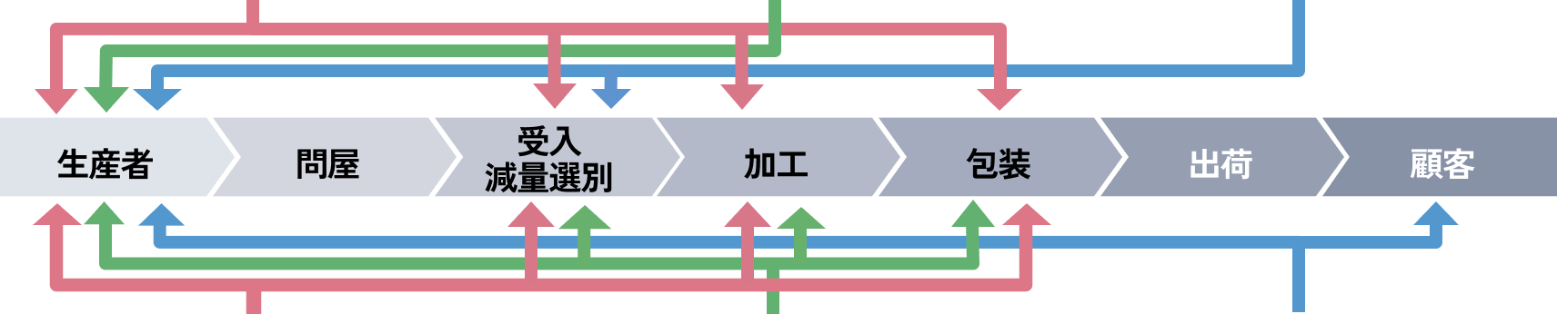 タマネギの収穫風景