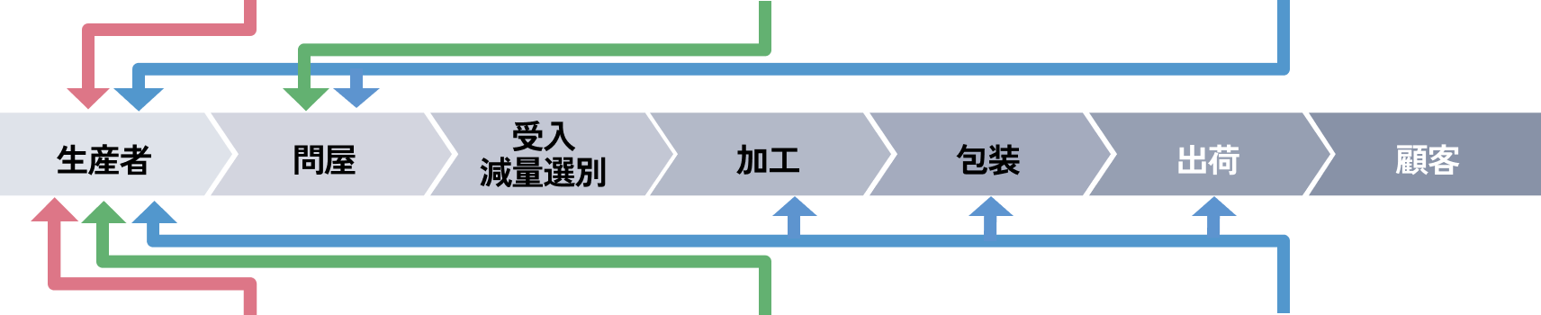 タマネギの収穫風景