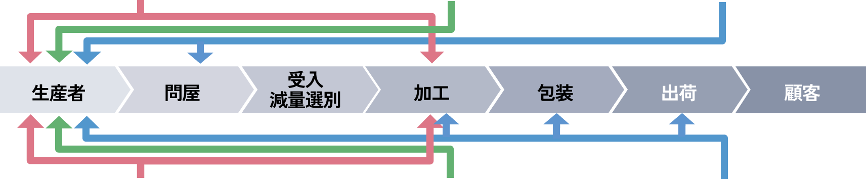 タマネギの収穫風景