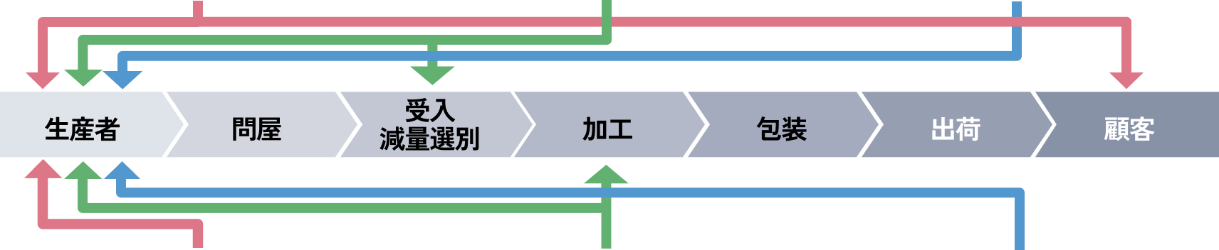 タマネギの収穫風景