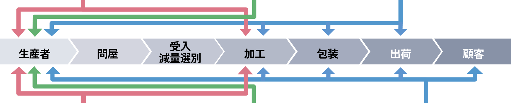 タマネギの収穫風景