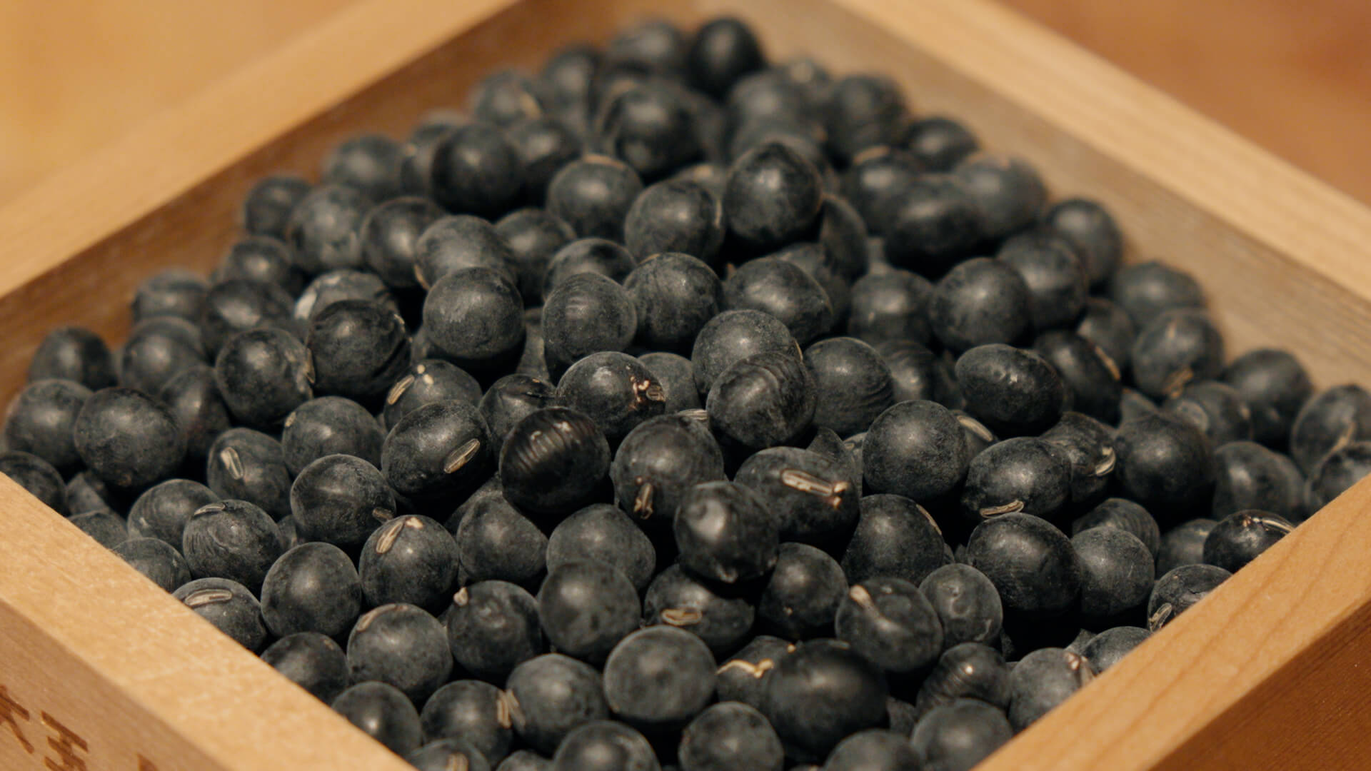 タマネギの収穫風景