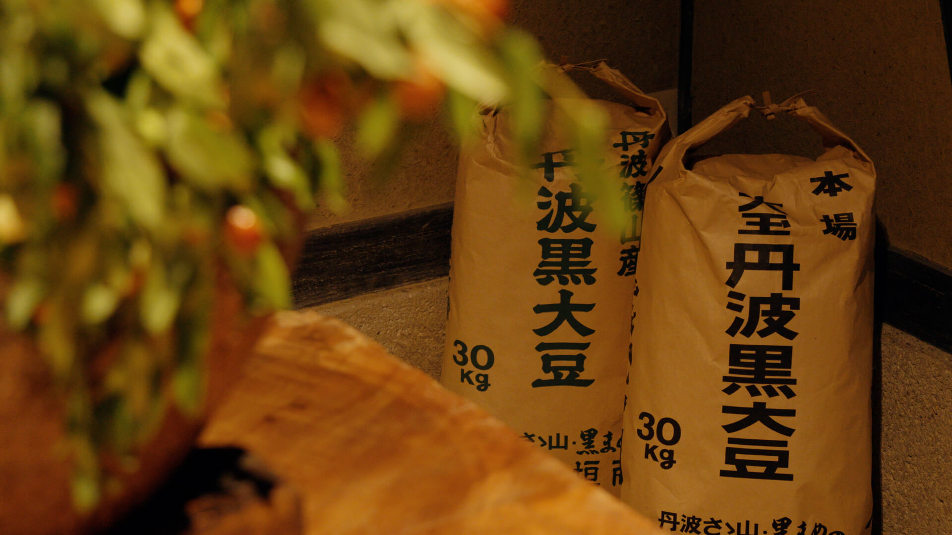 加工用タマネギの出荷作業