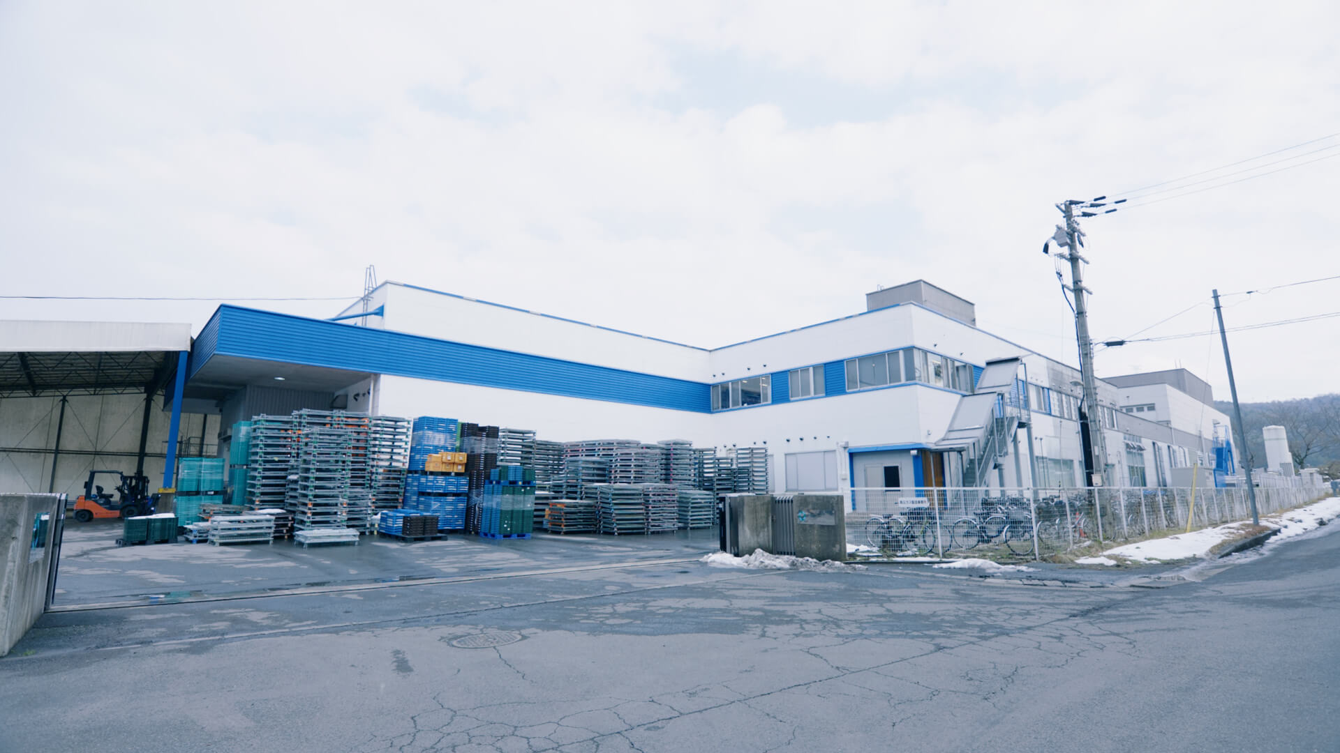 タマネギ生産者との連携風景