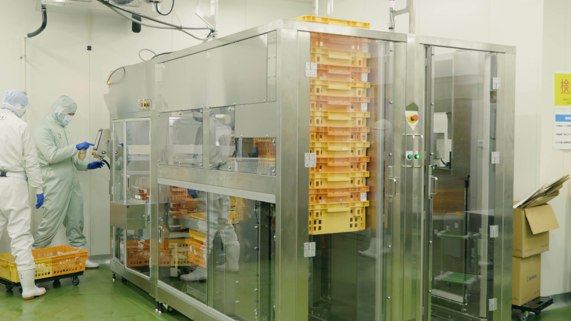 キャベツ畑の風景