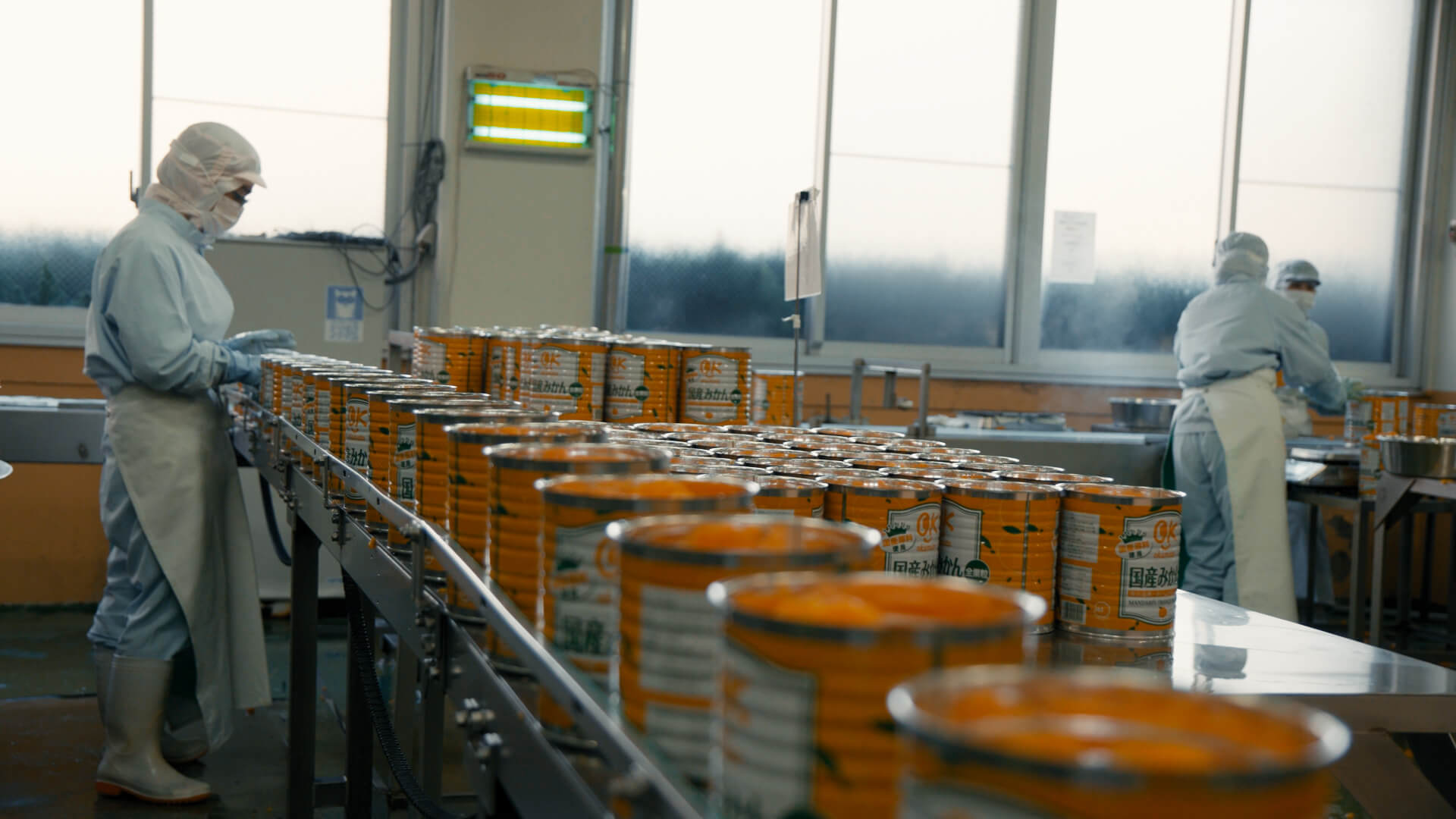 みかんの缶詰工場の様子