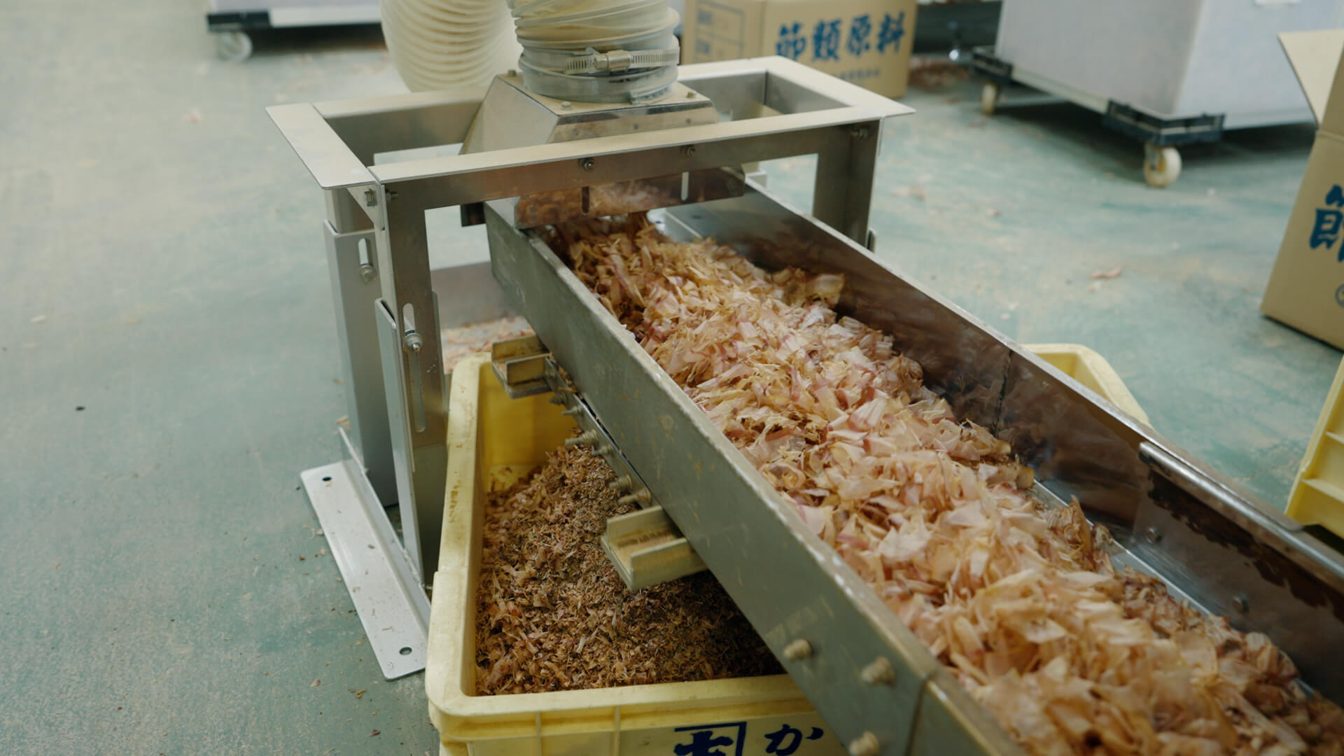 タマネギの選別作業の様子