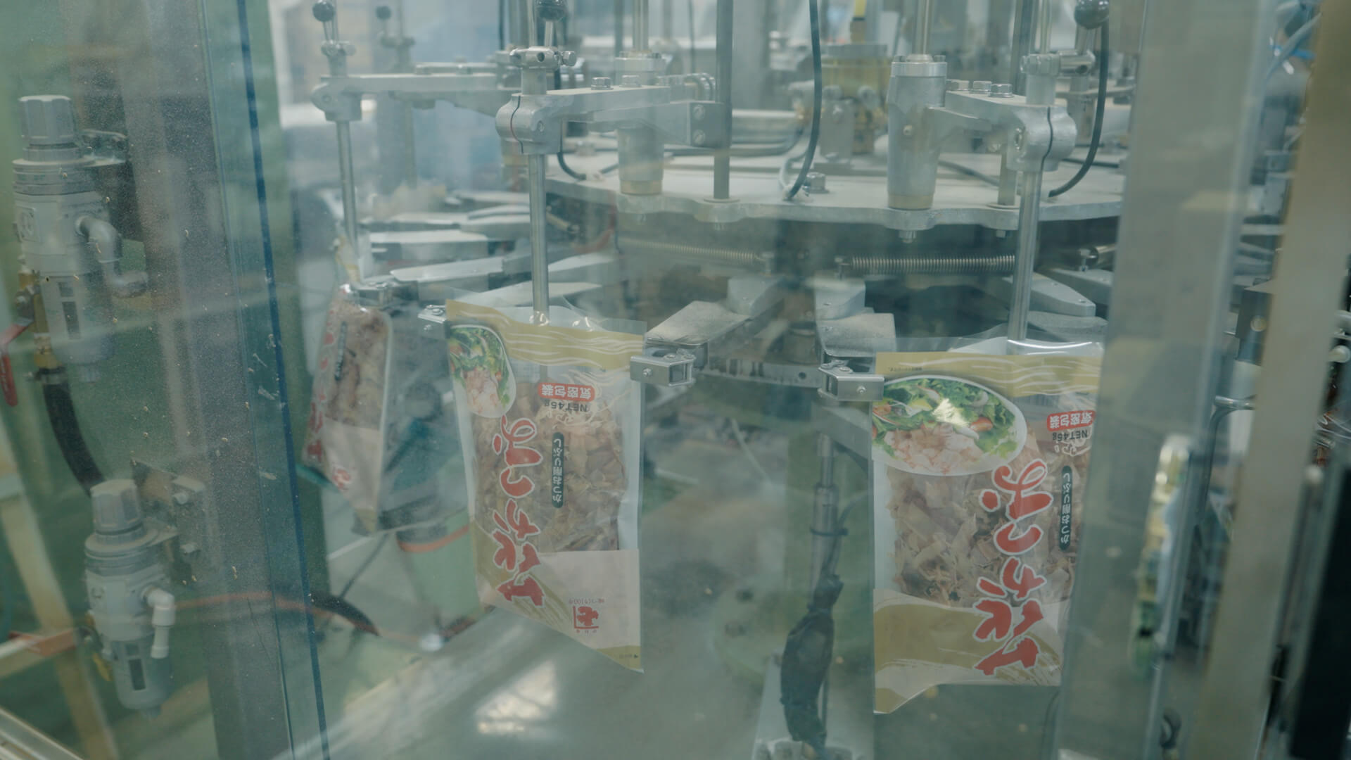 加工用タマネギの出荷作業