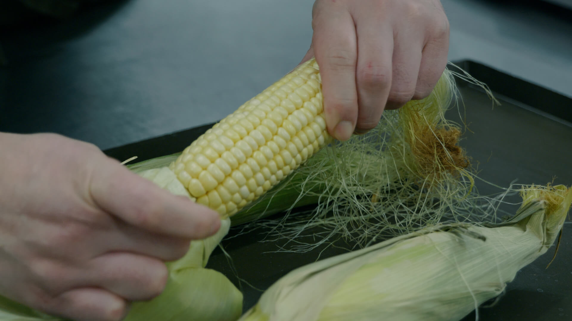 タマネギの収穫風景