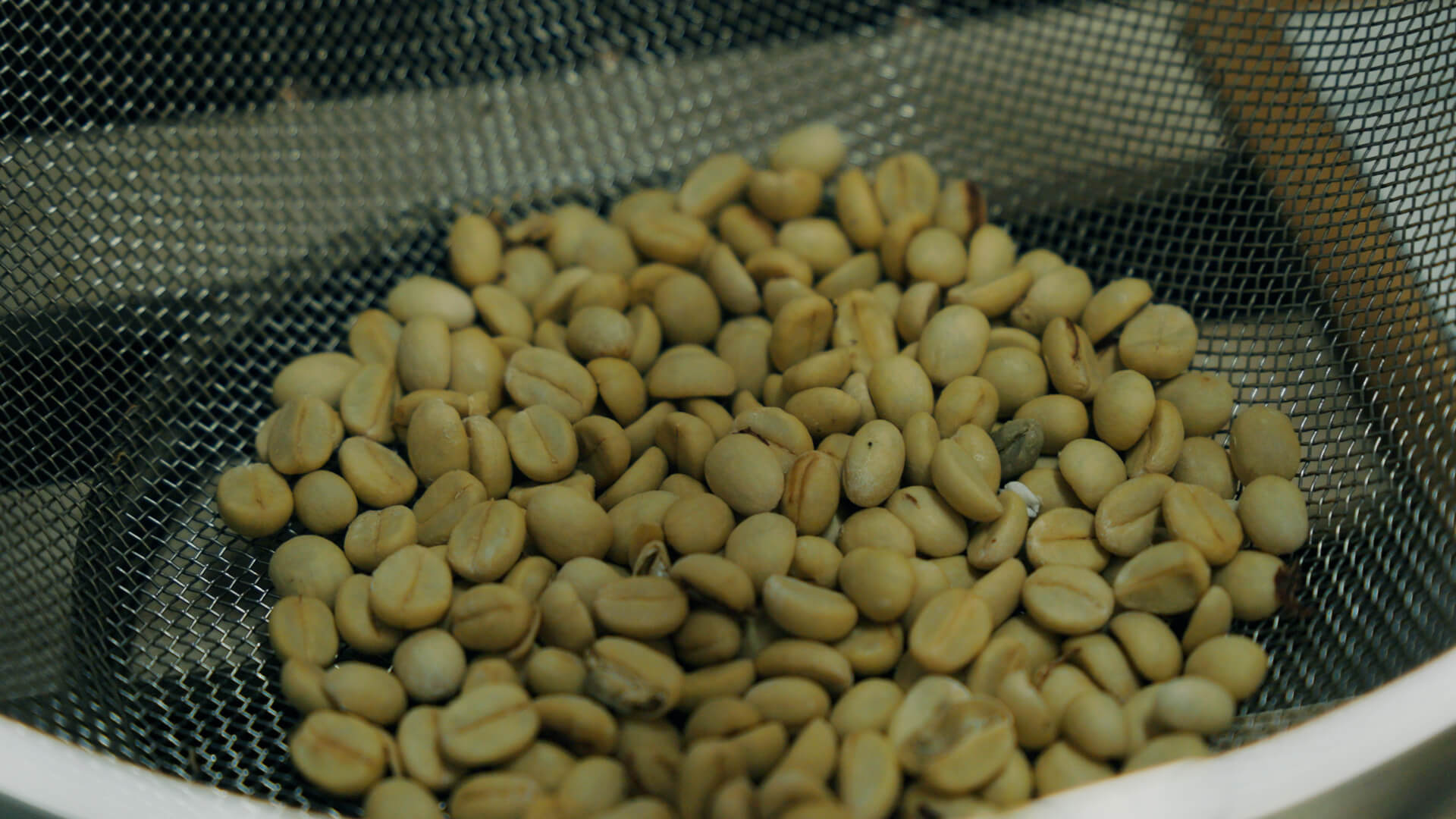 タマネギの選別作業の様子