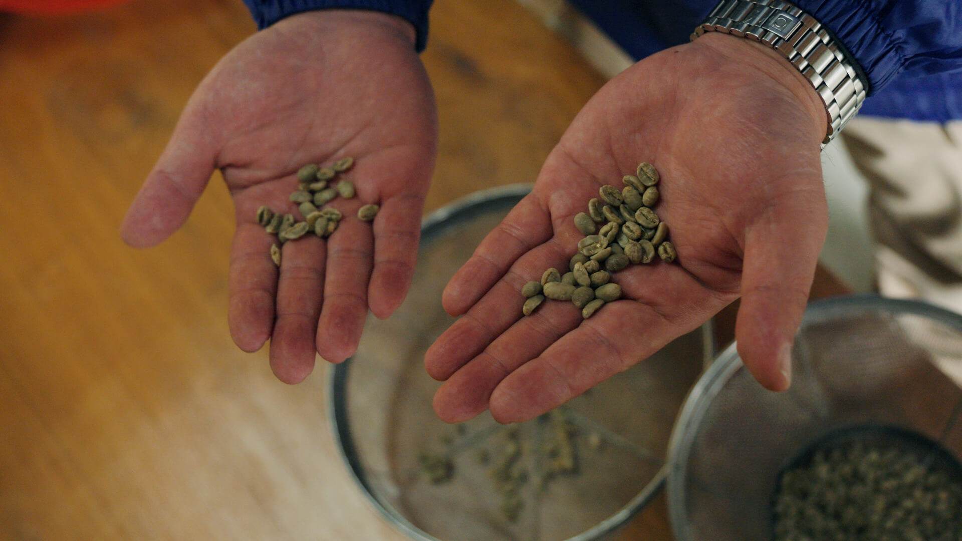 タマネギの収穫作業