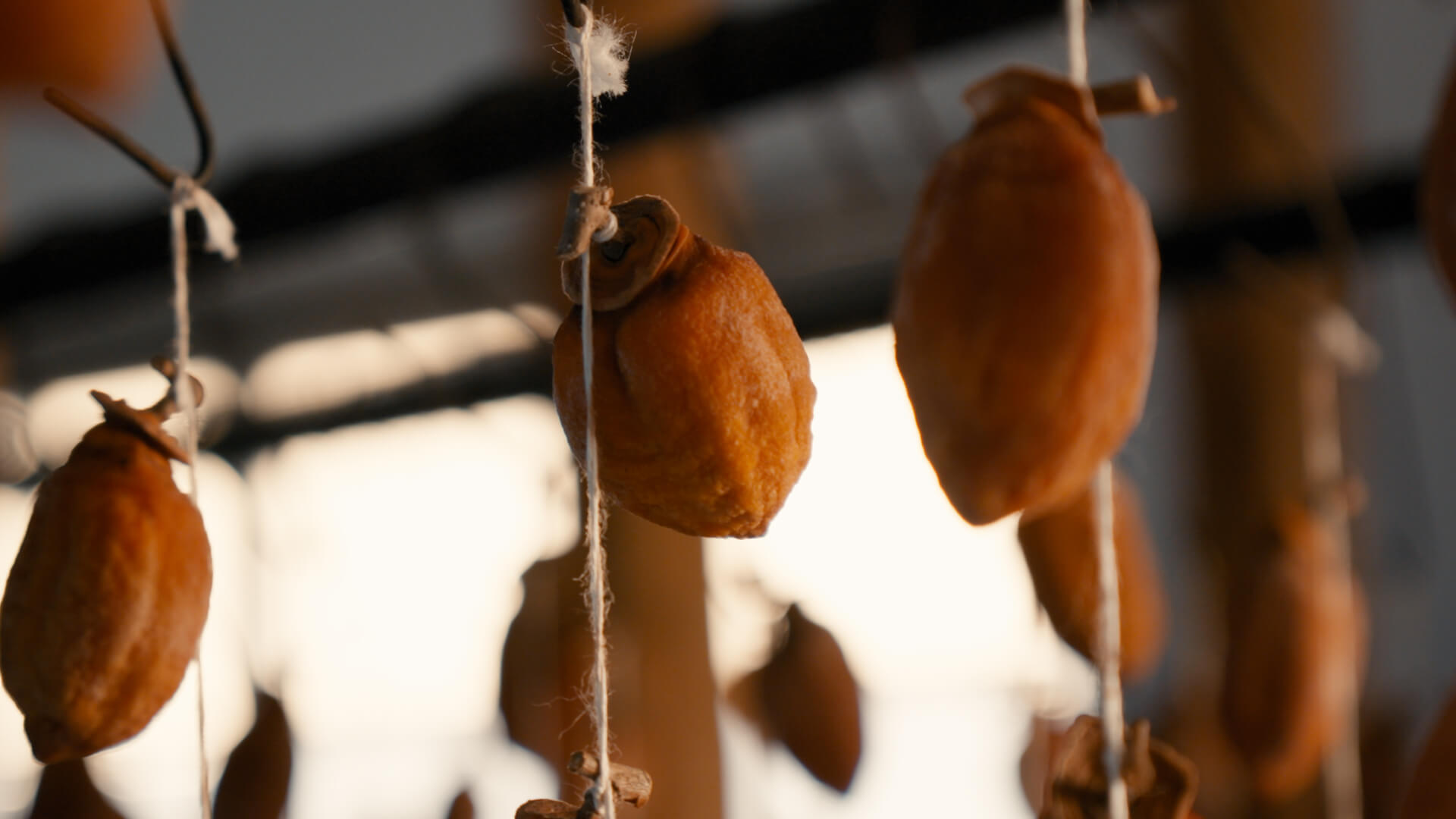 タマネギの選別作業の様子