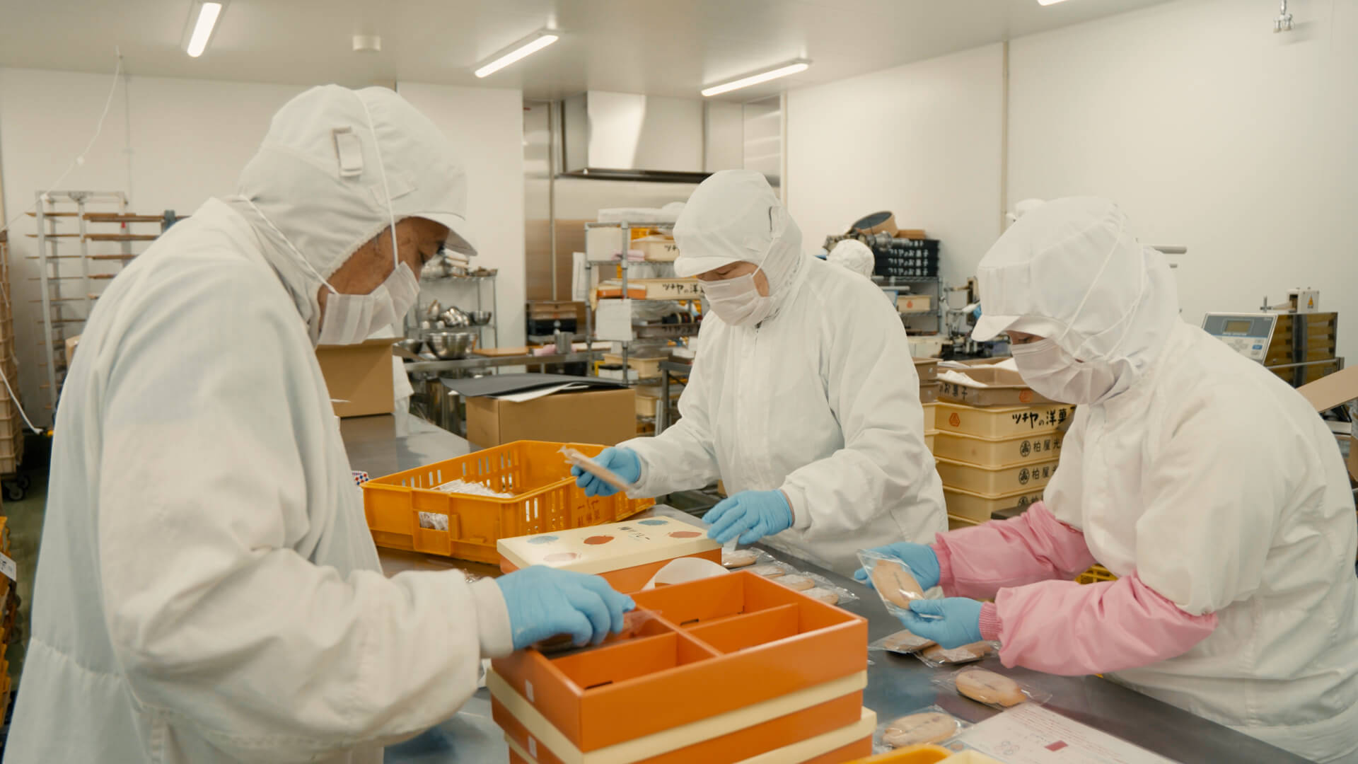 キャベツ畑の風景