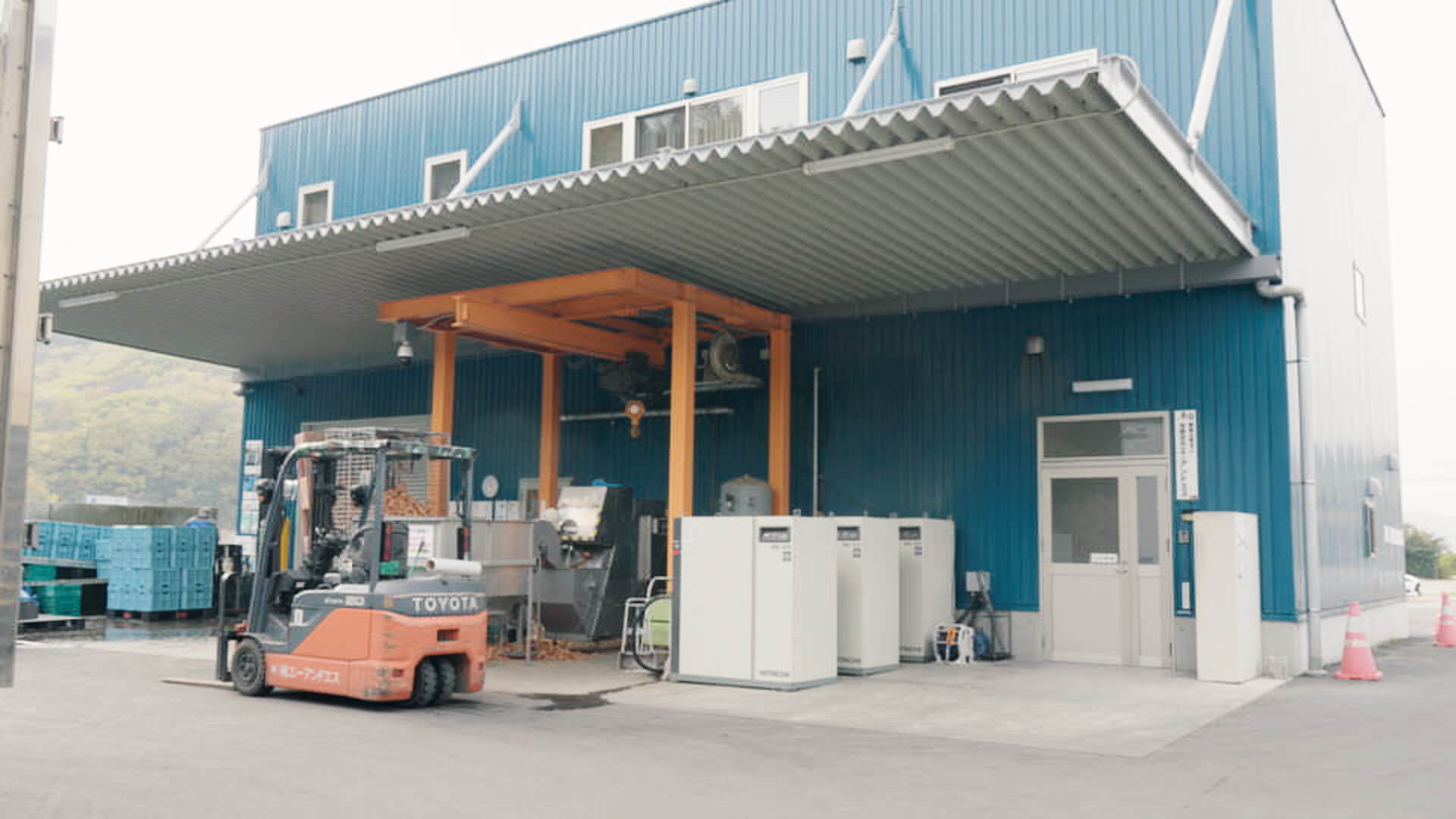 タマネギ生産者との連携風景