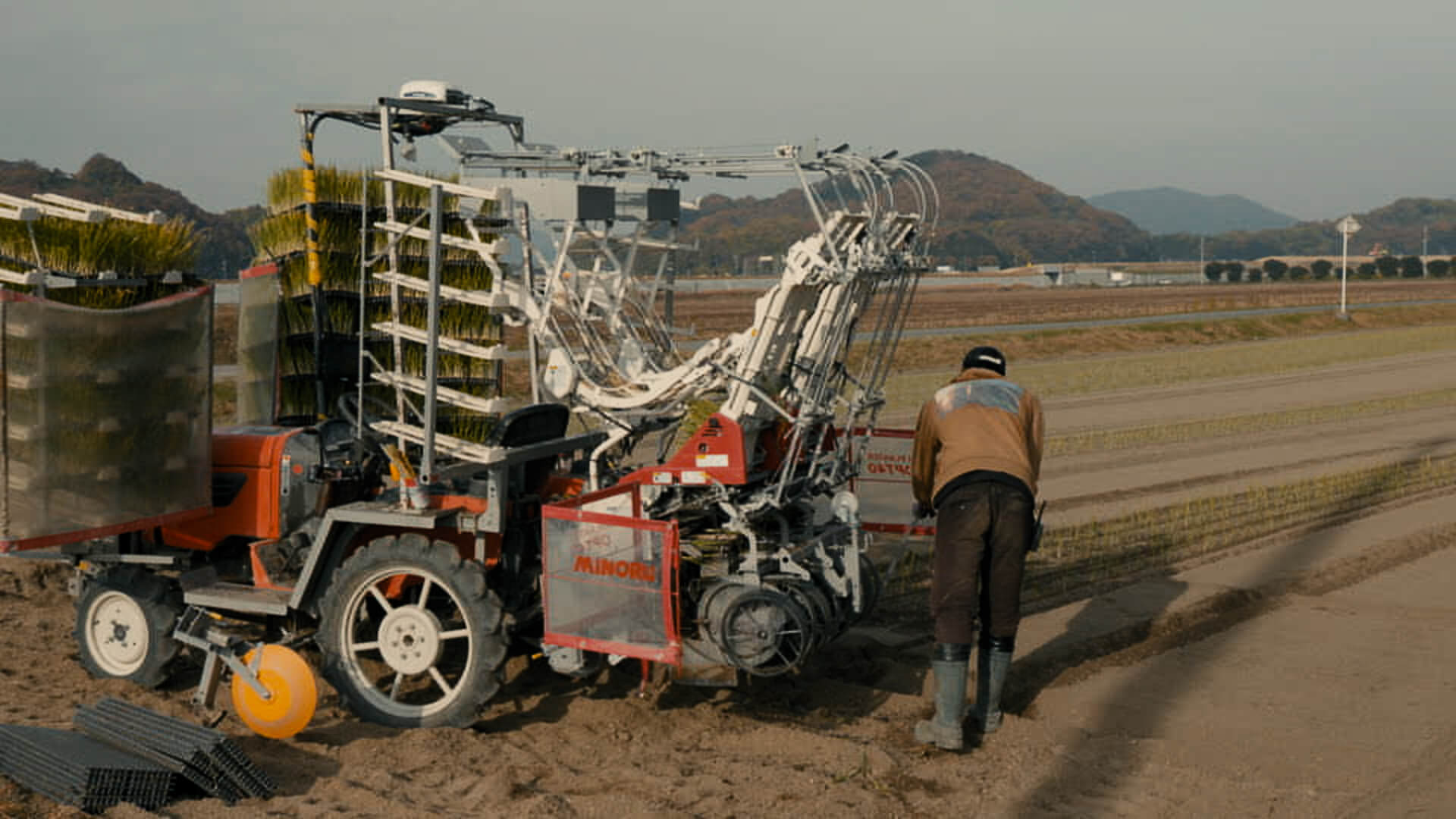 タマネギの選果作業