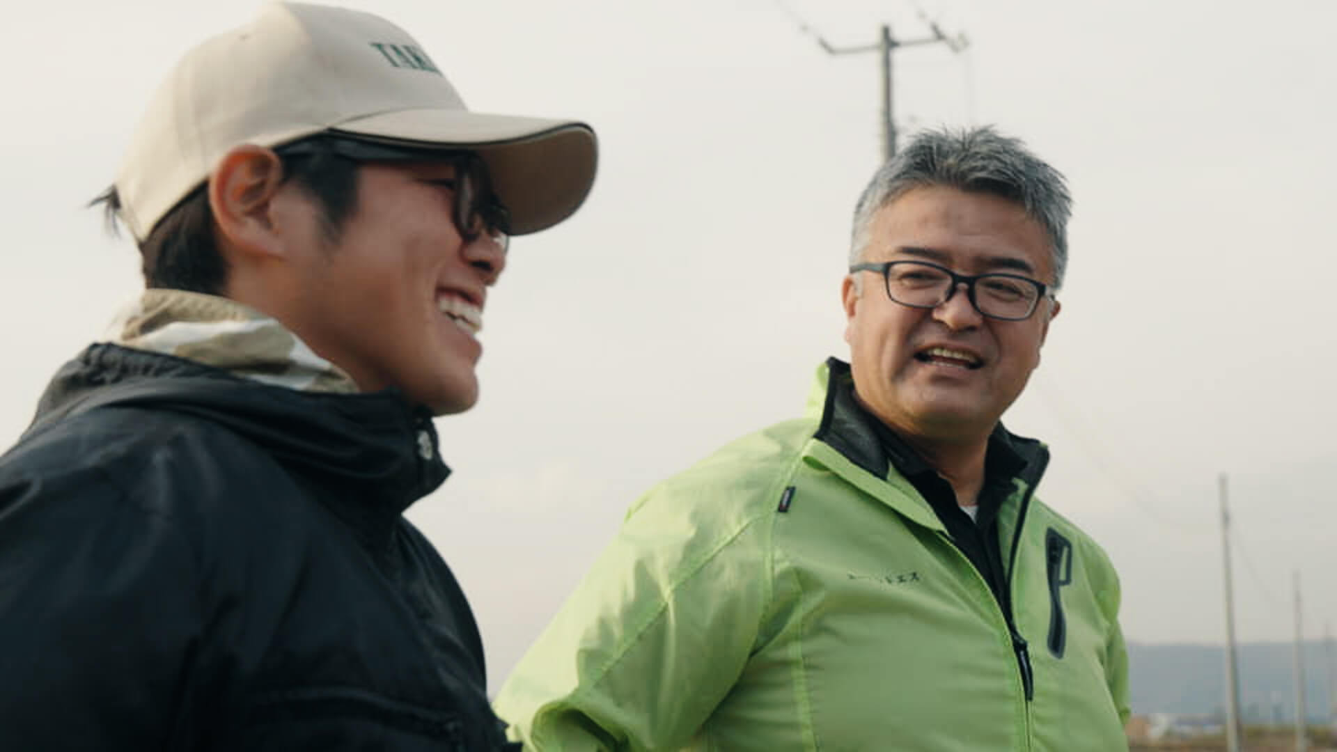 キャベツ畑の風景