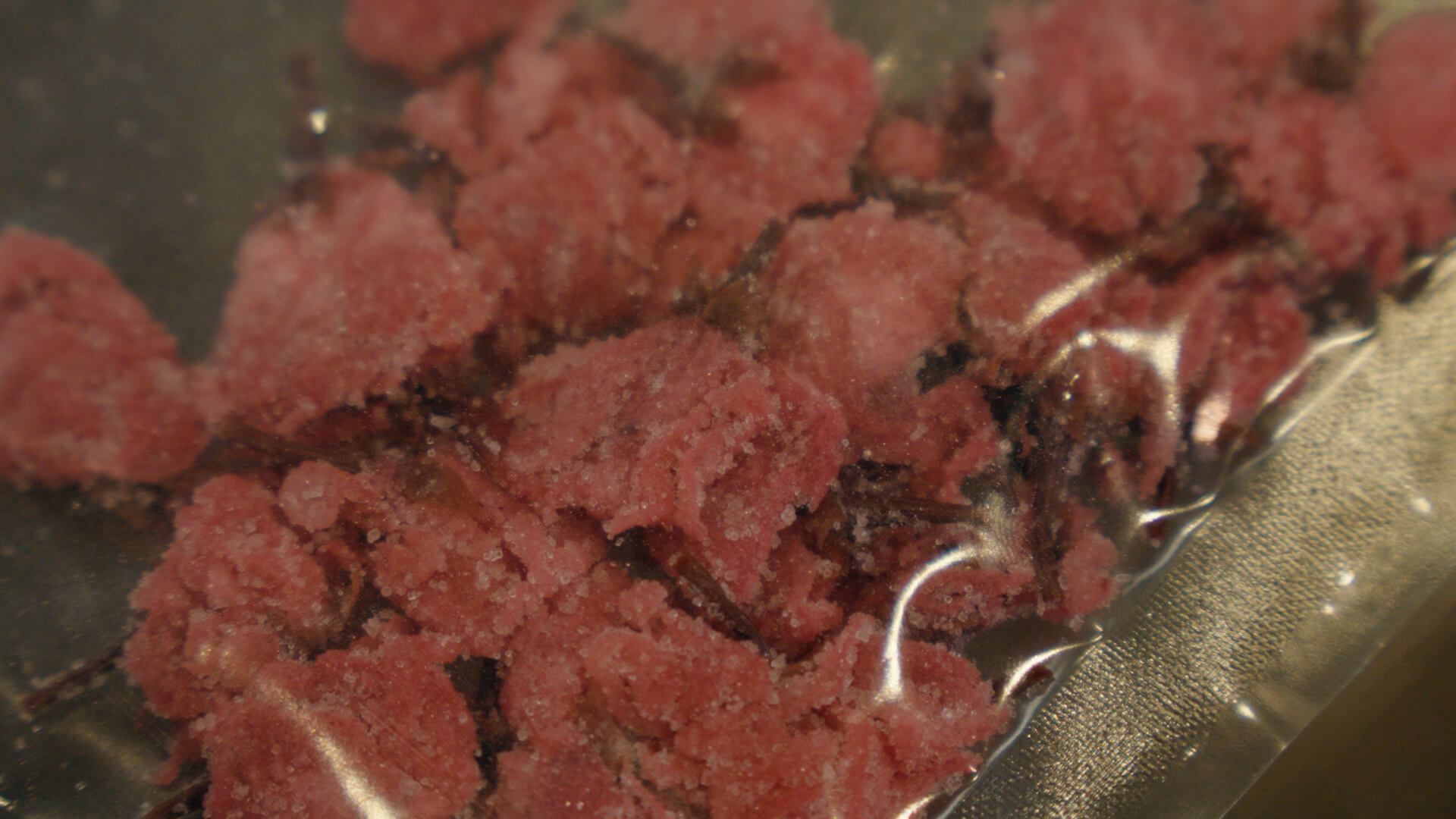 タマネギの選別作業の様子