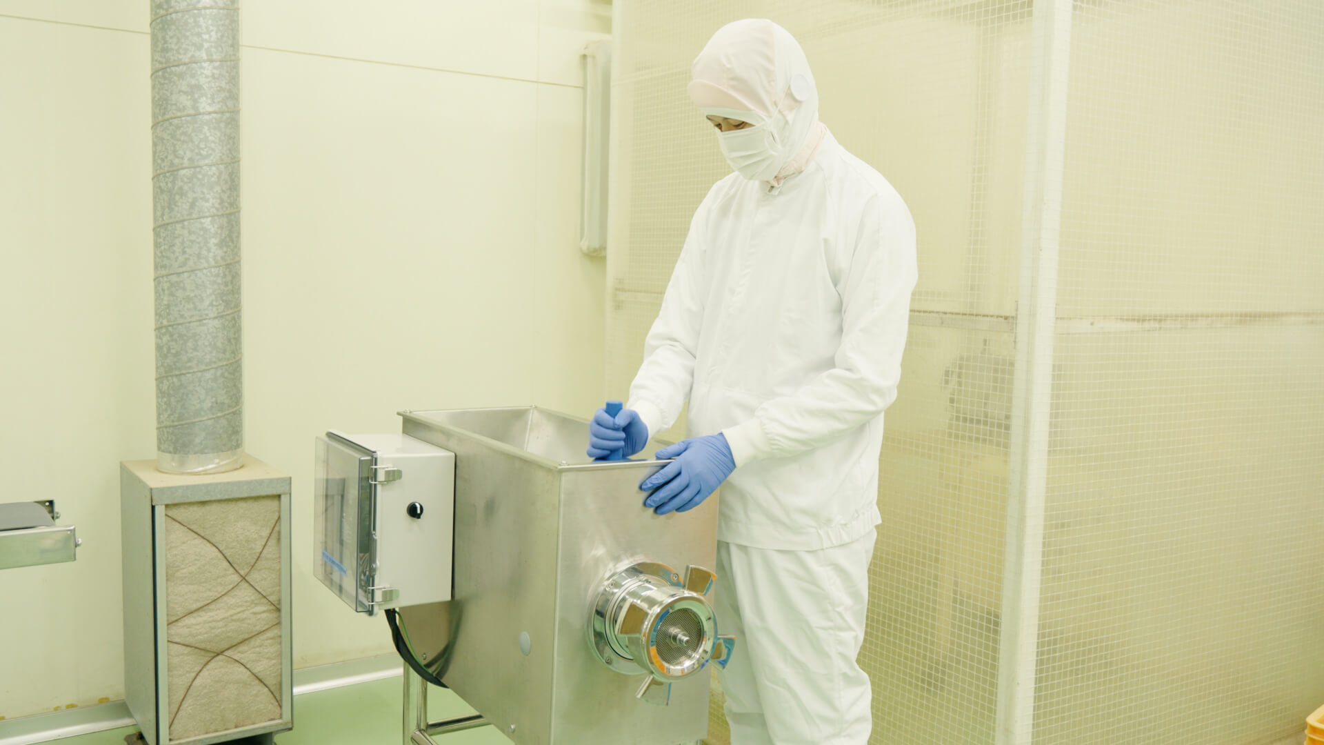 タマネギの選果作業