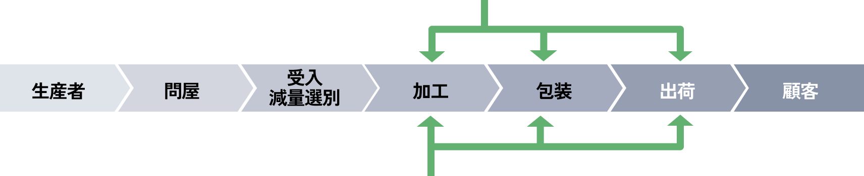 タマネギの収穫風景