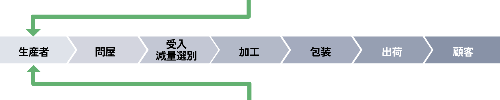 コストリスクに関するコンブ養殖工程のサプライチェーン図