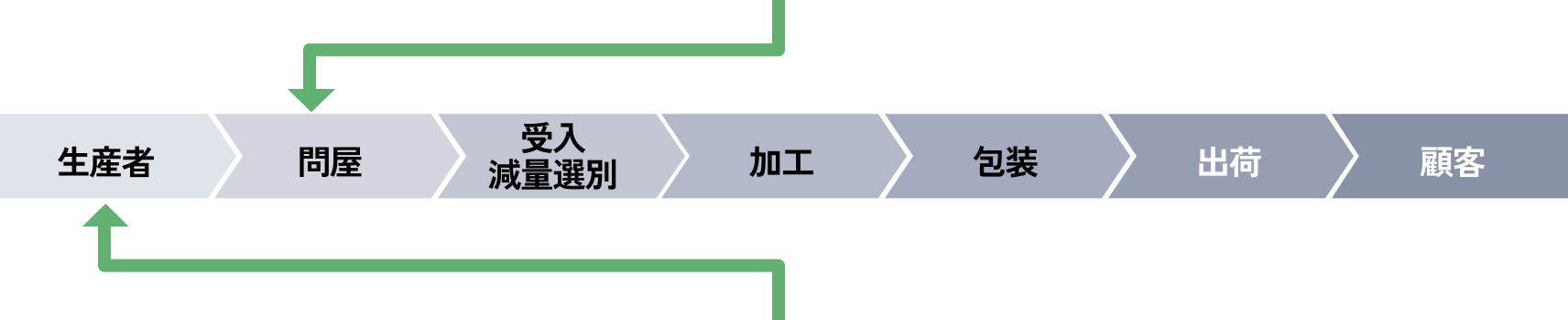 タマネギの収穫風景