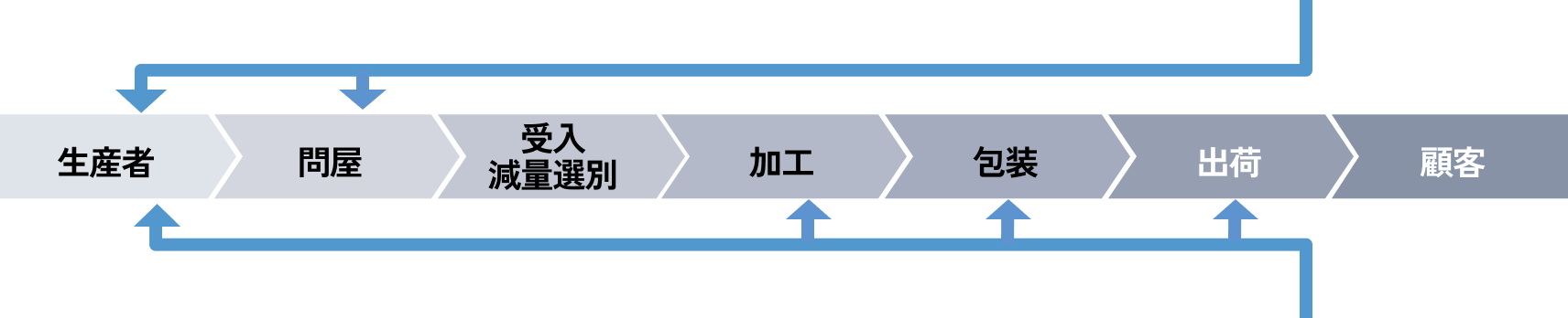 タマネギの収穫風景