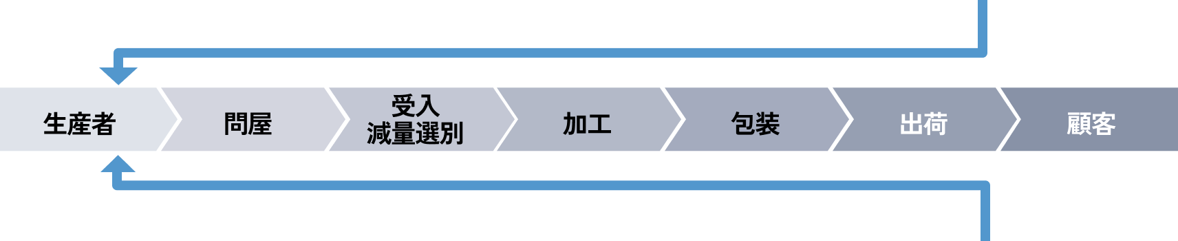 タマネギの収穫風景