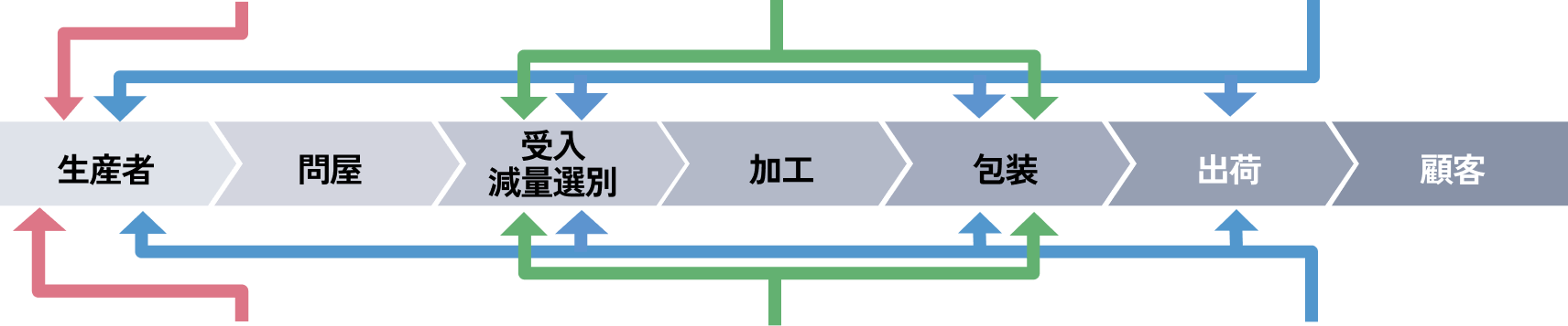 タマネギの収穫風景