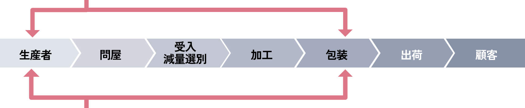 タマネギの収穫風景