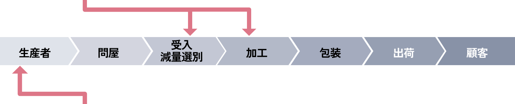 タマネギの収穫風景