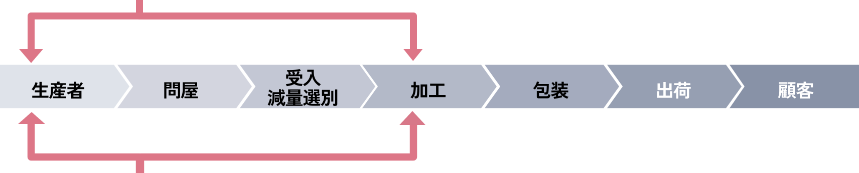 タマネギの収穫風景